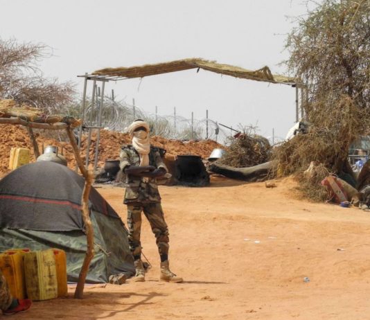 Attack in Central Mali Claims Over 100 Lives