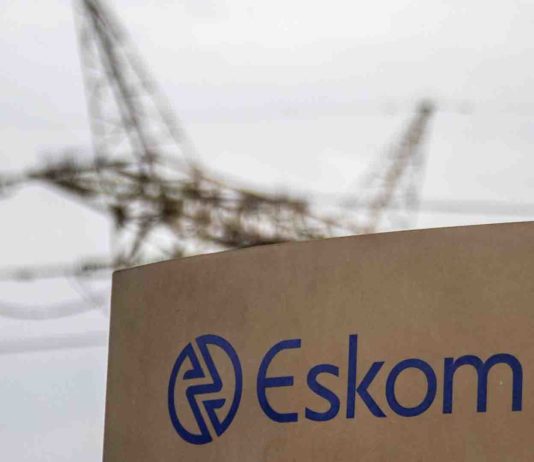 BRICS Bank to Lend Up to $780 Million to South Africa's Eskom