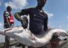 Criminality in Africa’s Fishing Industry: A Threat to Human Security