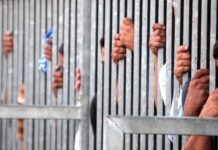 Egypt Hunger Strike Over Prison Cruelty