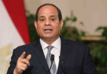Egypt's Parliament Votes to Expand Sisi's Powers