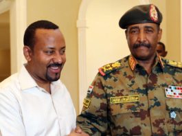 Ethiopia Tries to Mediate Sudan Crisis