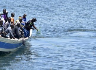 'Four Killed' in Illegal Fishing Row on Lake Victoria