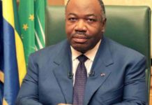 Gabon: Vice President and Minister of Forests Dismissed