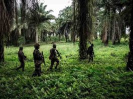 Is DAESH Making Inroads in DR Congo?