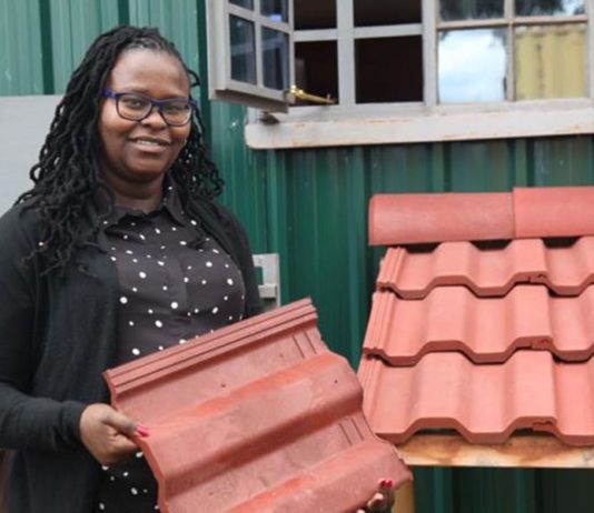 Kenya Will Produce Construction Materials from Plastic Wastes