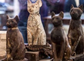 Mummified Animals Began to be Exhibited in Egypt