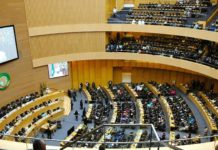 The African Union Wavers Between Reform and More of The Same