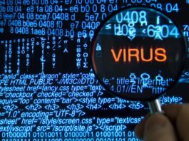 Virus Turns the Lights out In South Africa
